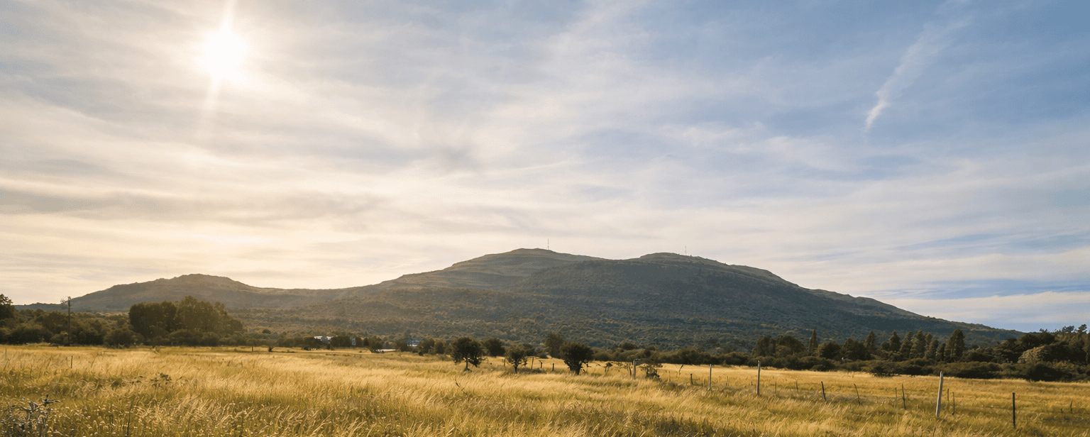 Grassland and Madeira Mountain in the late afternoon, outside Komani